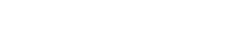 WEB-DOC CMS